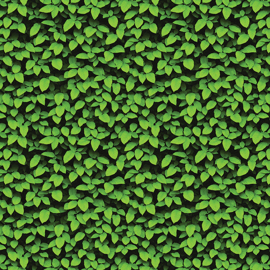 Grass Collection
