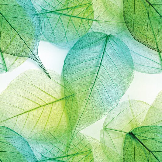 Transparent Leaves