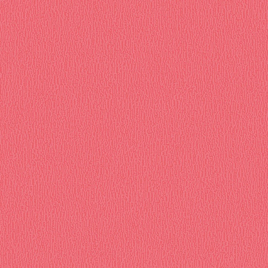 Paradise - Pink