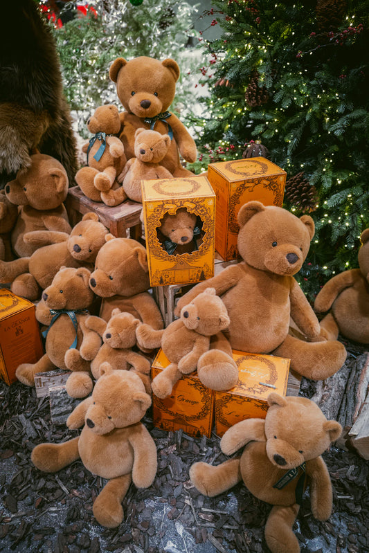 Charming Teddy Bear Wallpapers for Cozy Kids' Spaces