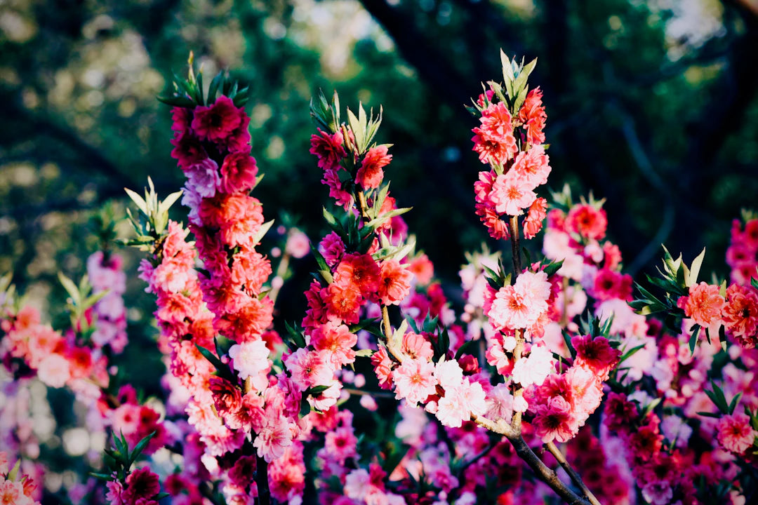 Enchanting Floral and Fairy Themes for Your Space