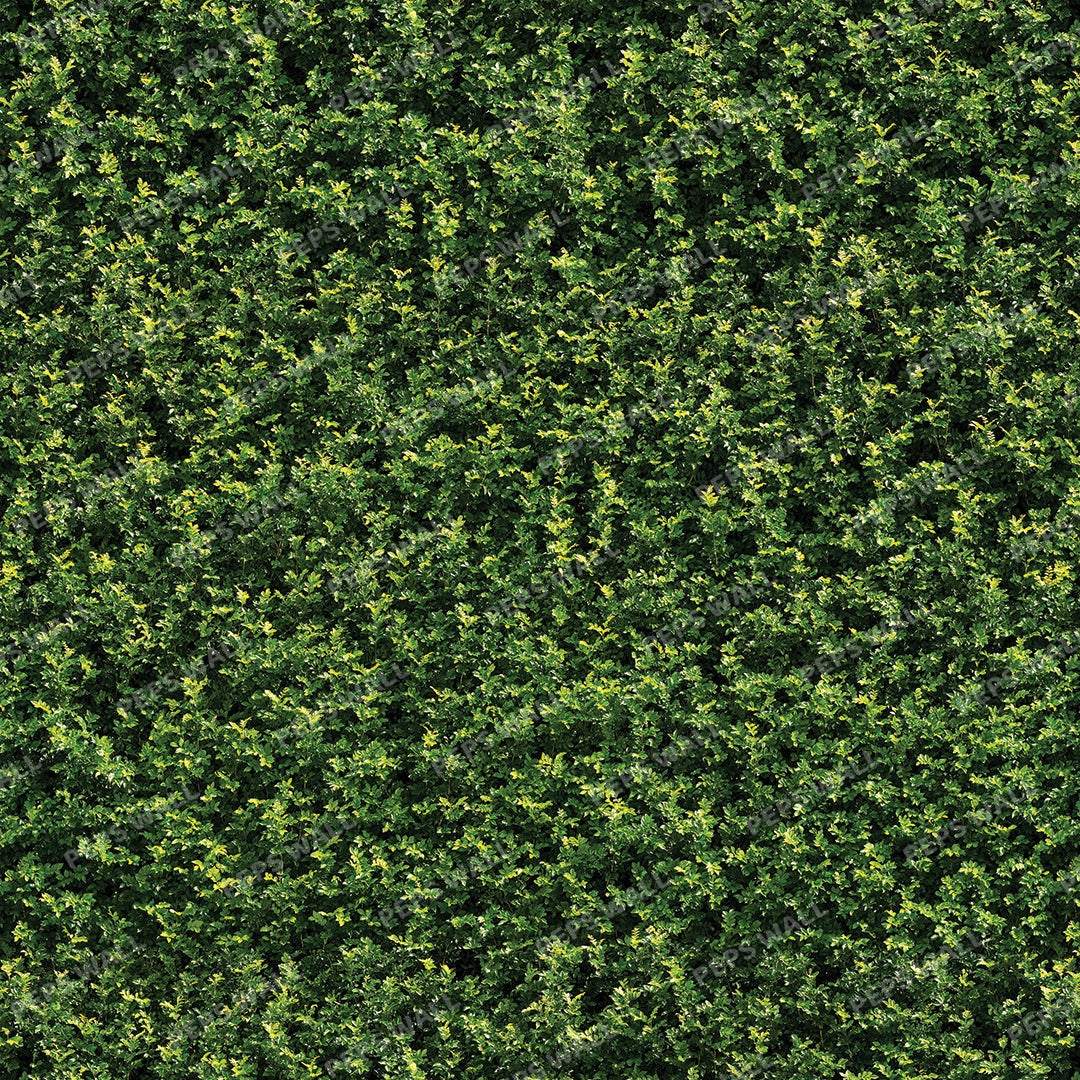 Grass Collection