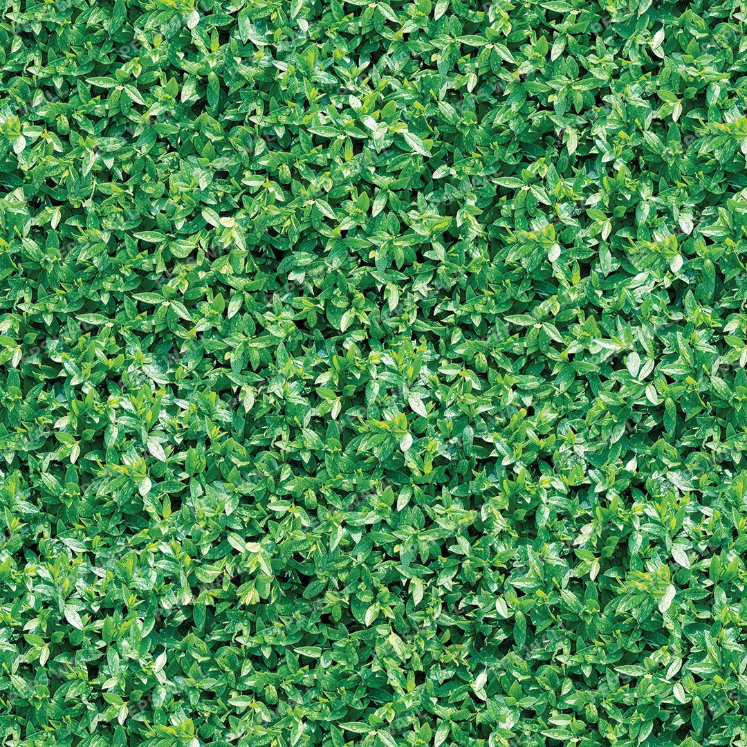 Grass Collection