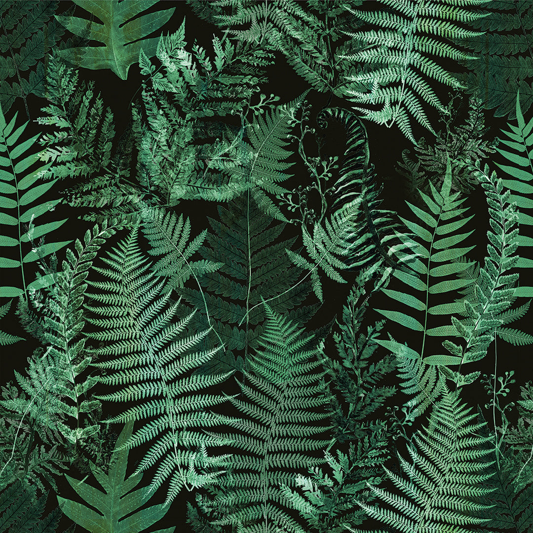 Palm Leaves