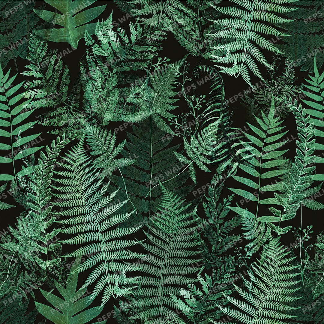 Palm Leaves 25