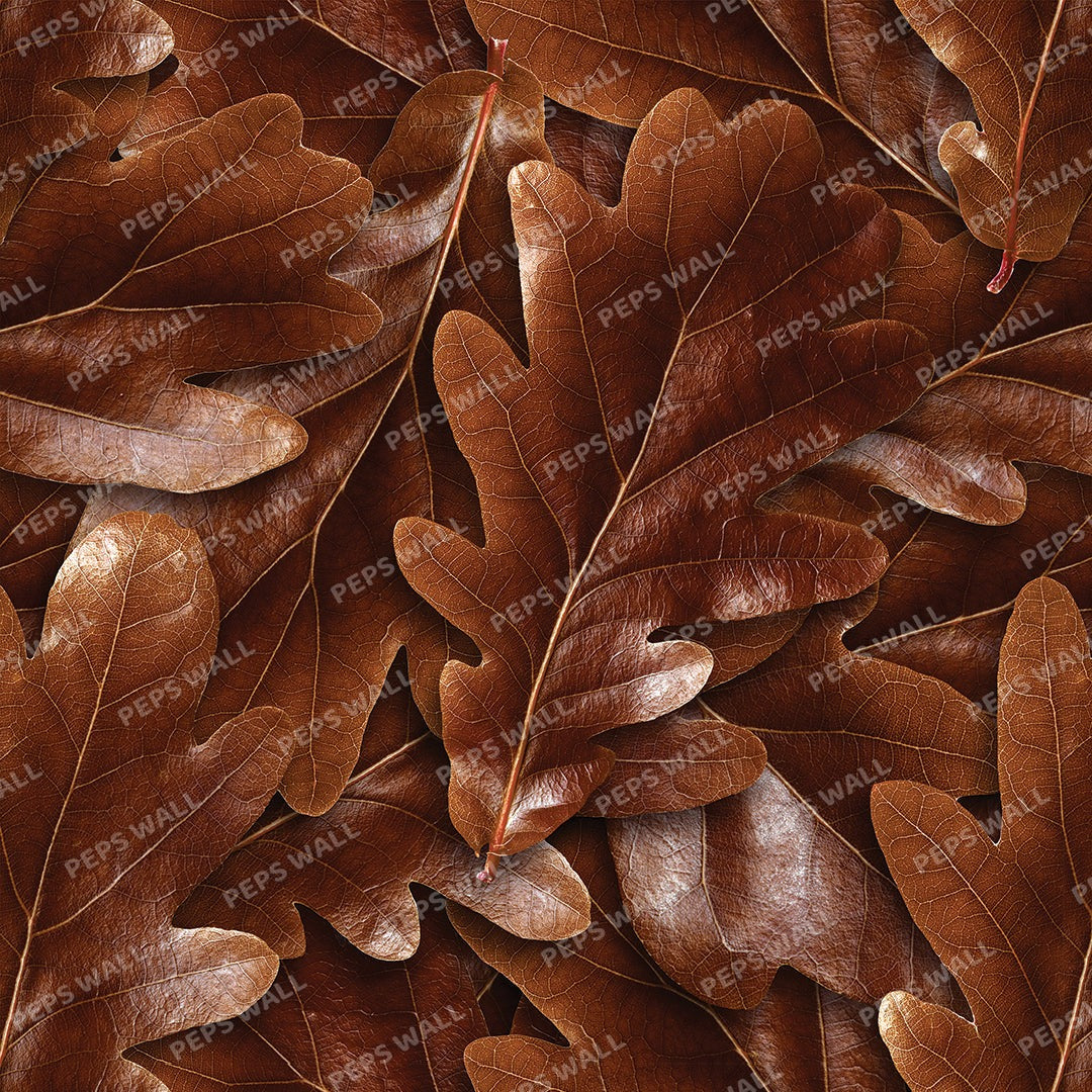 Autumn Autumn