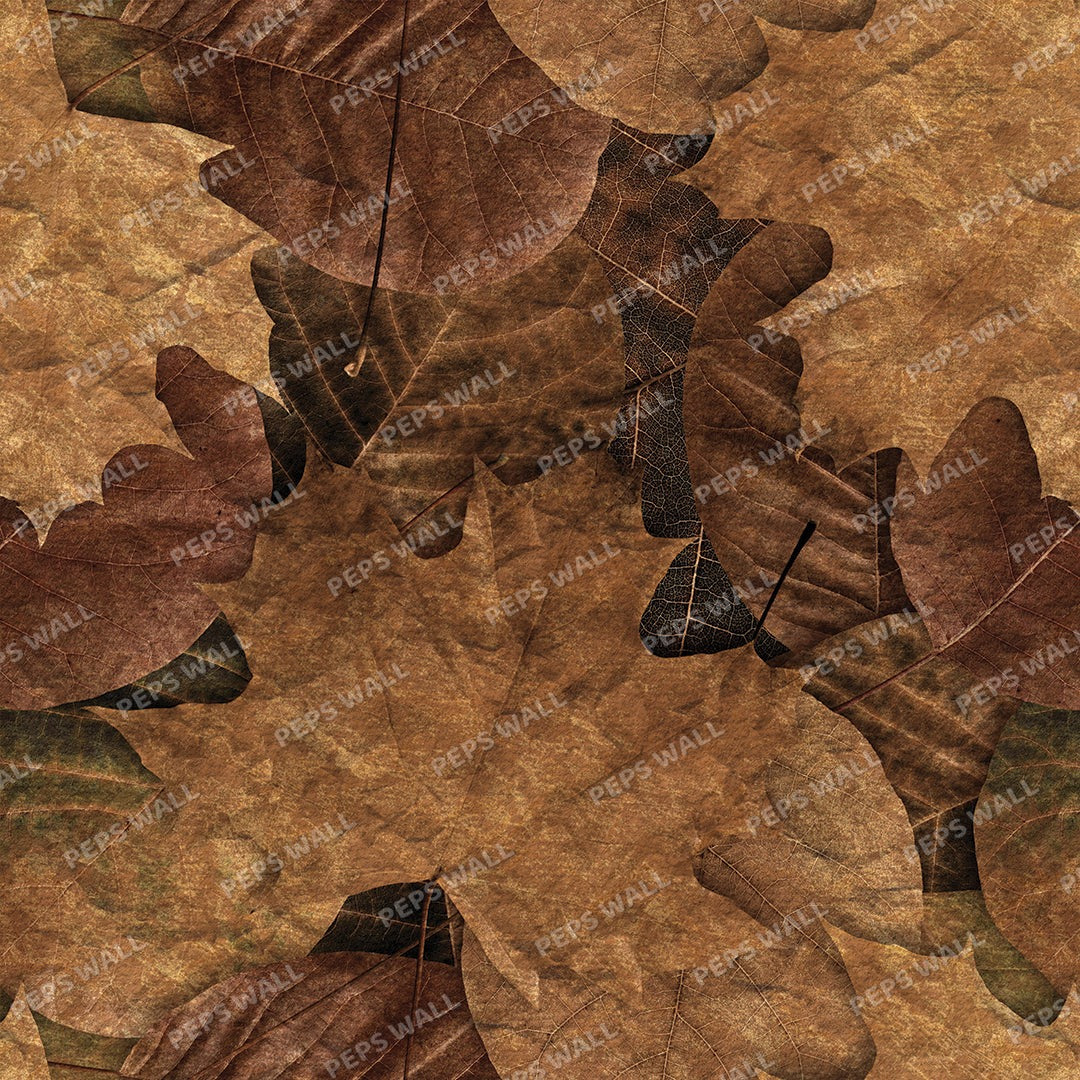 Autumn Autumn