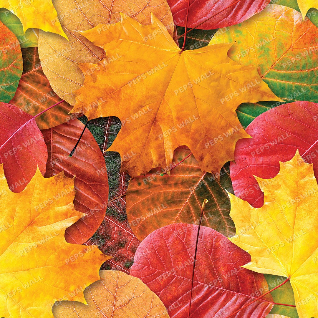 Autumn Autumn — tropical wallpaper Dubai, Peps Wall