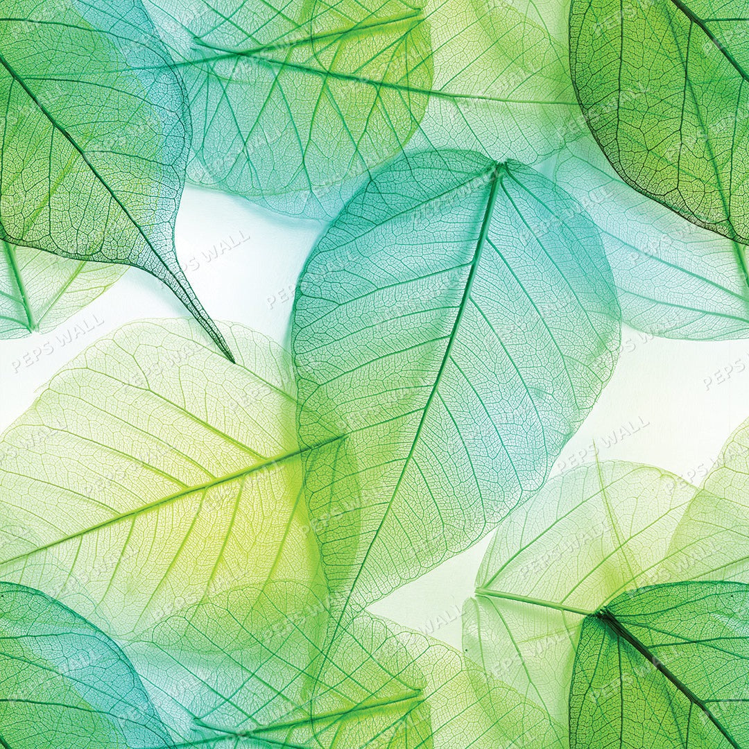 Transparent Leaves — tropical palm wallpaper Dubai, Peps Wall
