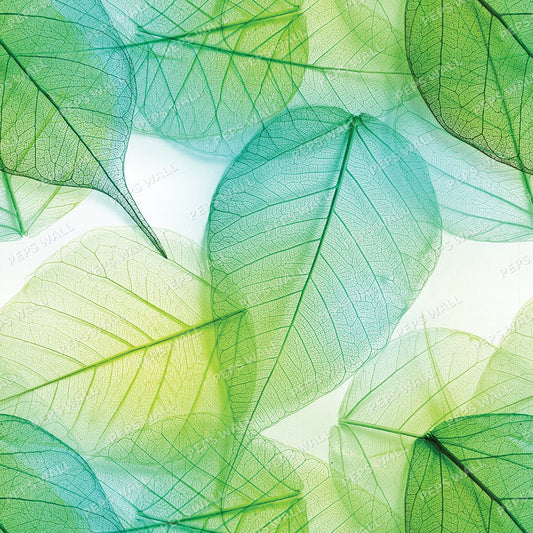 Transparent Leaves — tropical palm wallpaper Dubai, Peps Wall