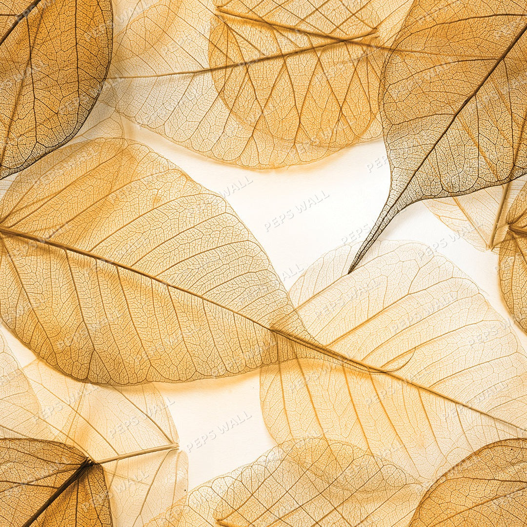 Transparent Leaves