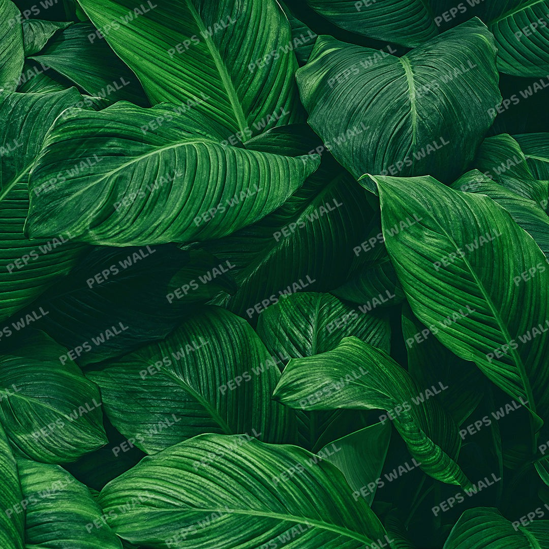 Green Leaves Collection — tropical palm wallpaper Dubai, Peps Wall