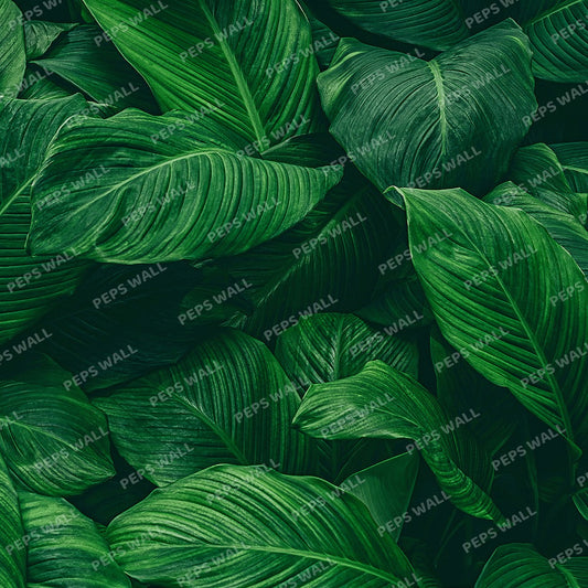 Green Leaves Collection — tropical palm wallpaper Dubai, Peps Wall