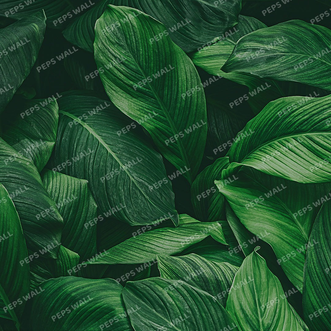 Green Leaves Collection