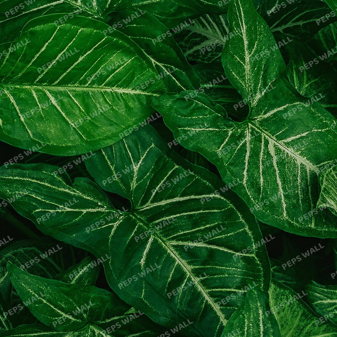Green Leaves Collection