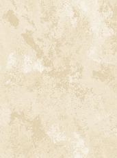Petra Honey