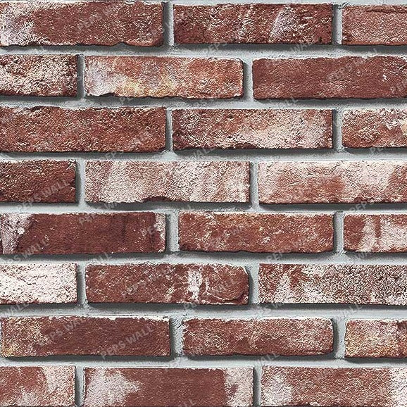 Bricktonia