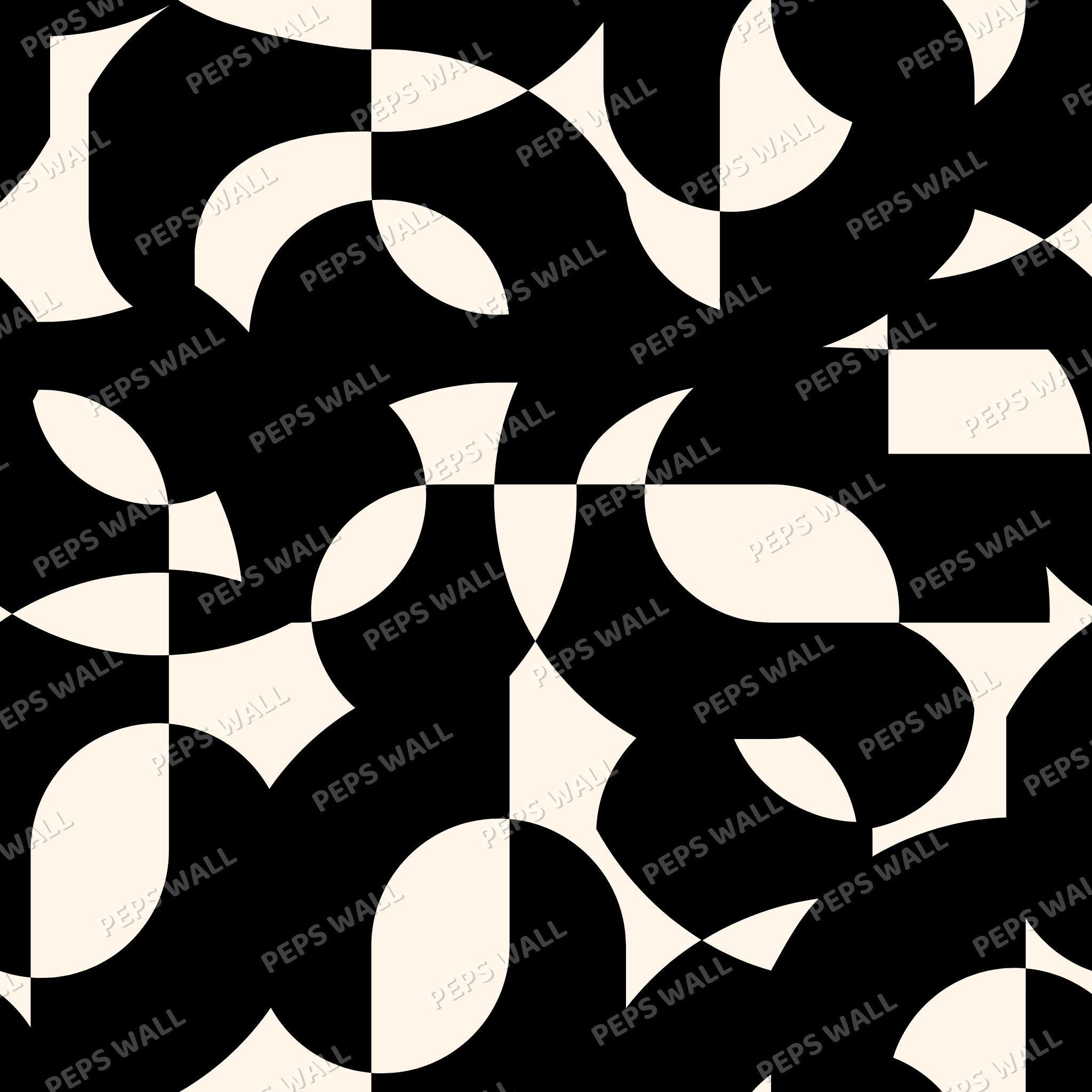 Mystery Geometry