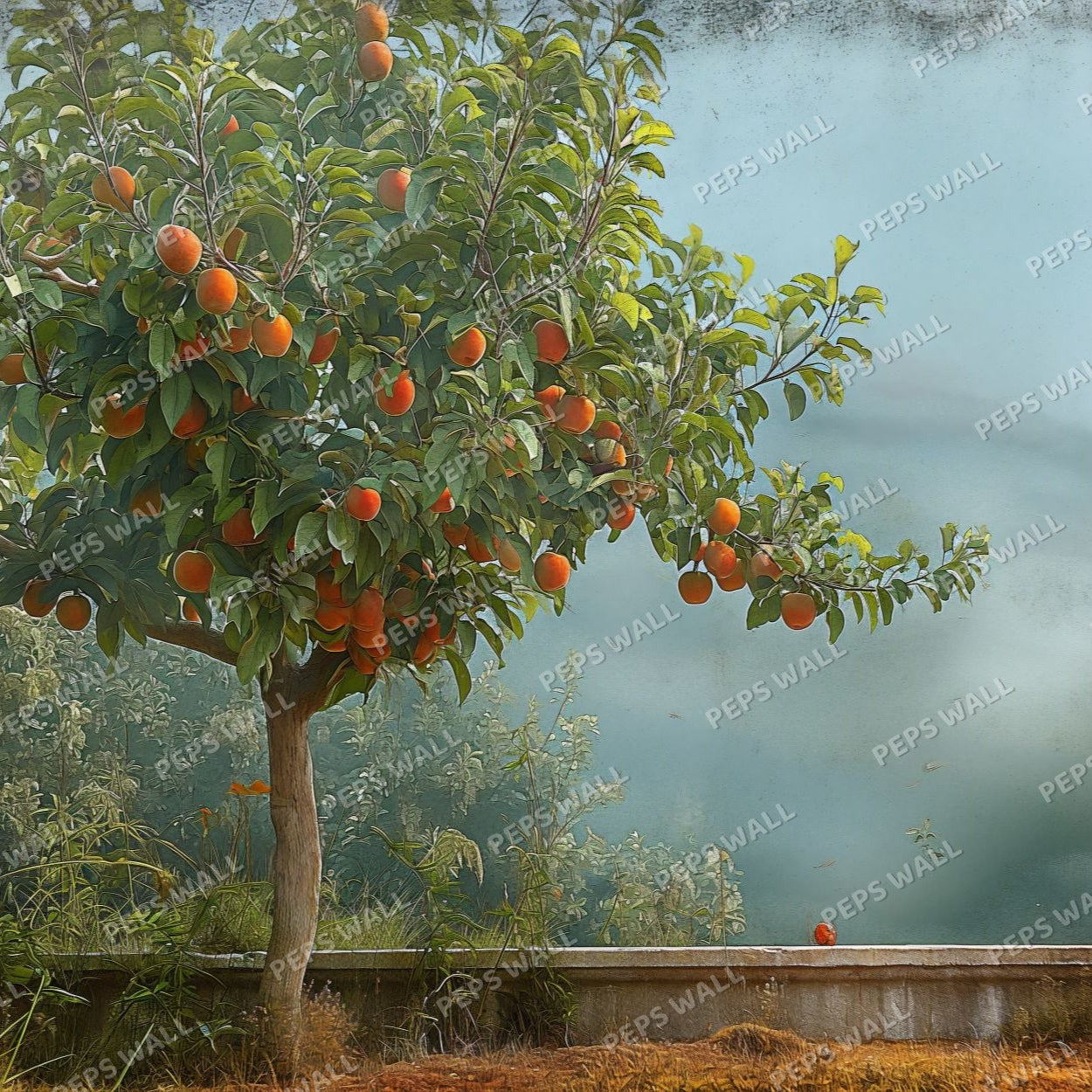 Orangeraie