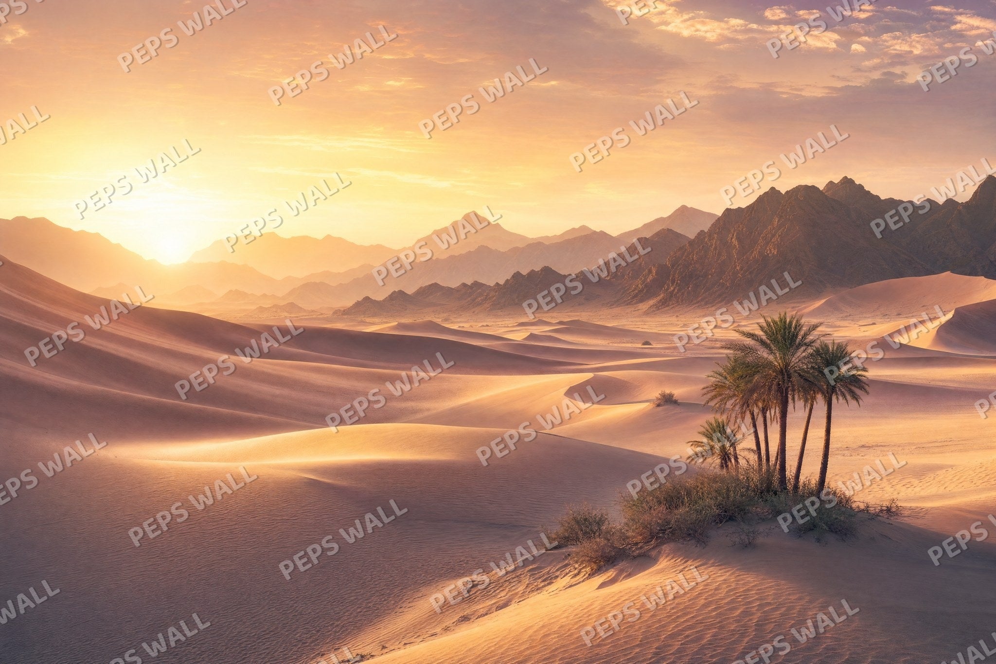 Desert Dunes