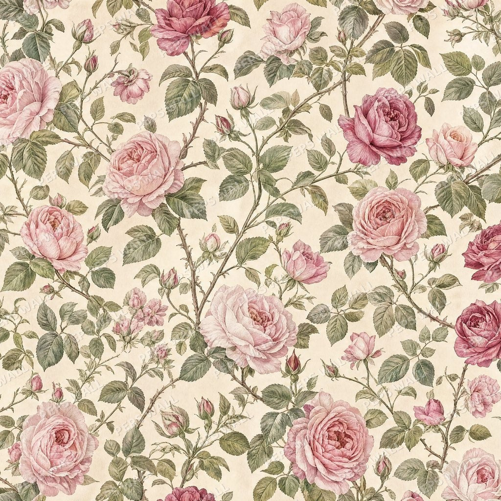 English Rose Garden