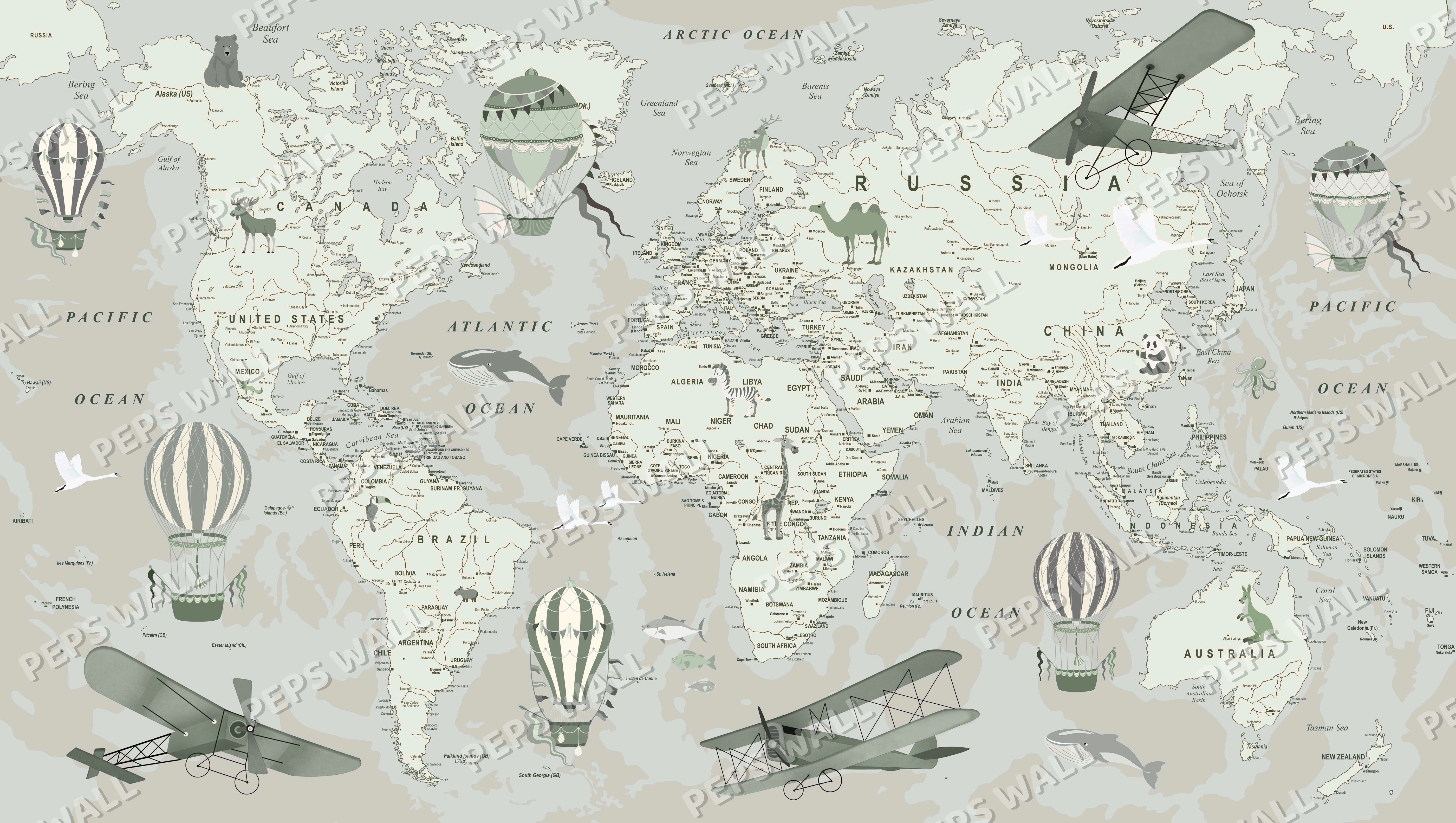 Explorer Map - Sage full wall mural design