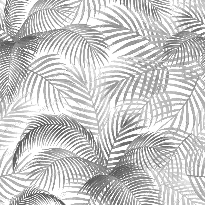 Tropical Breeze
