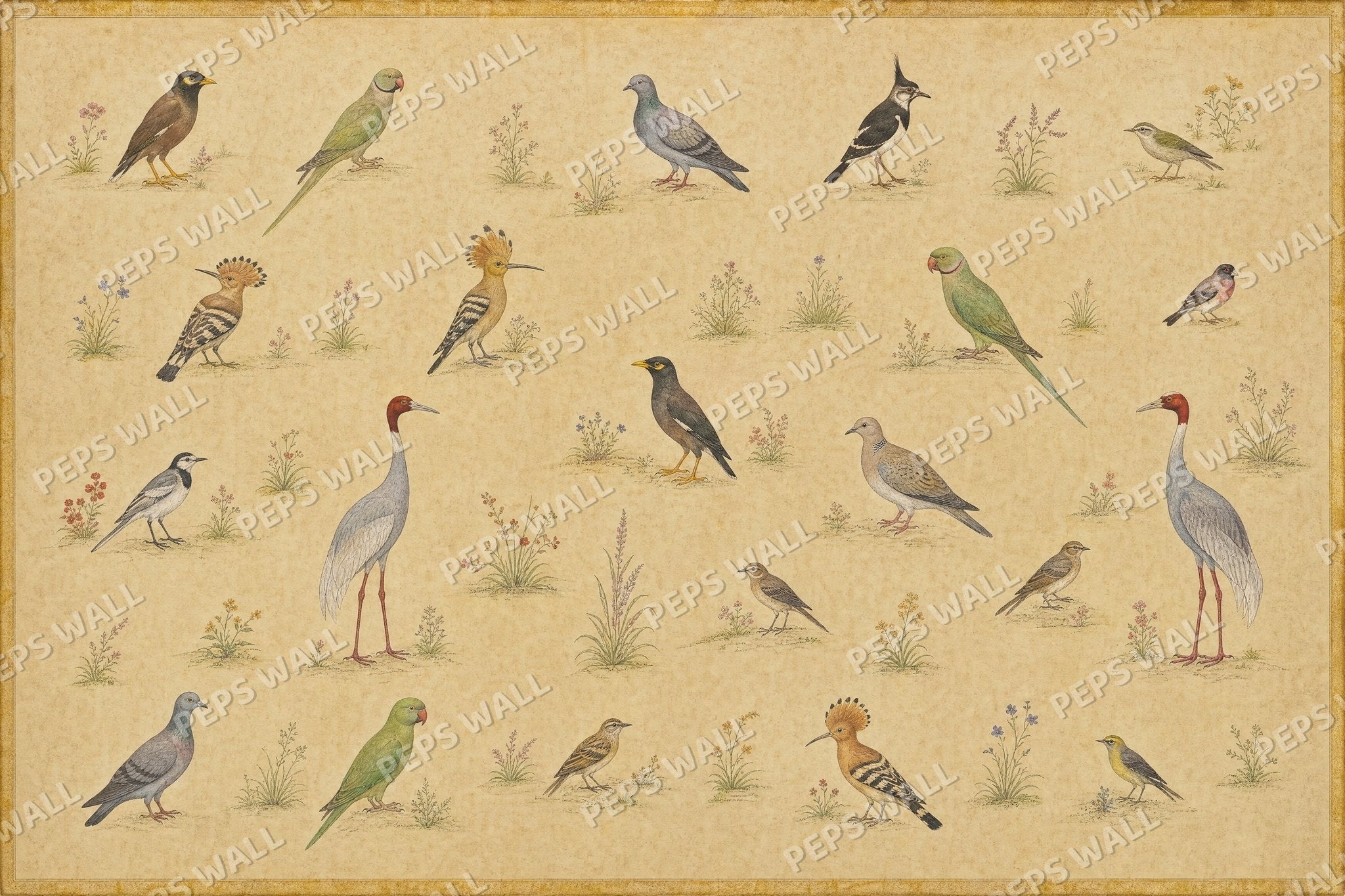 Imperial Aviary