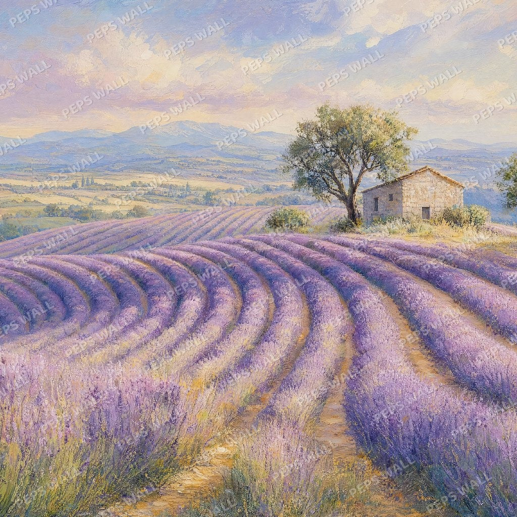 Lavender Field
