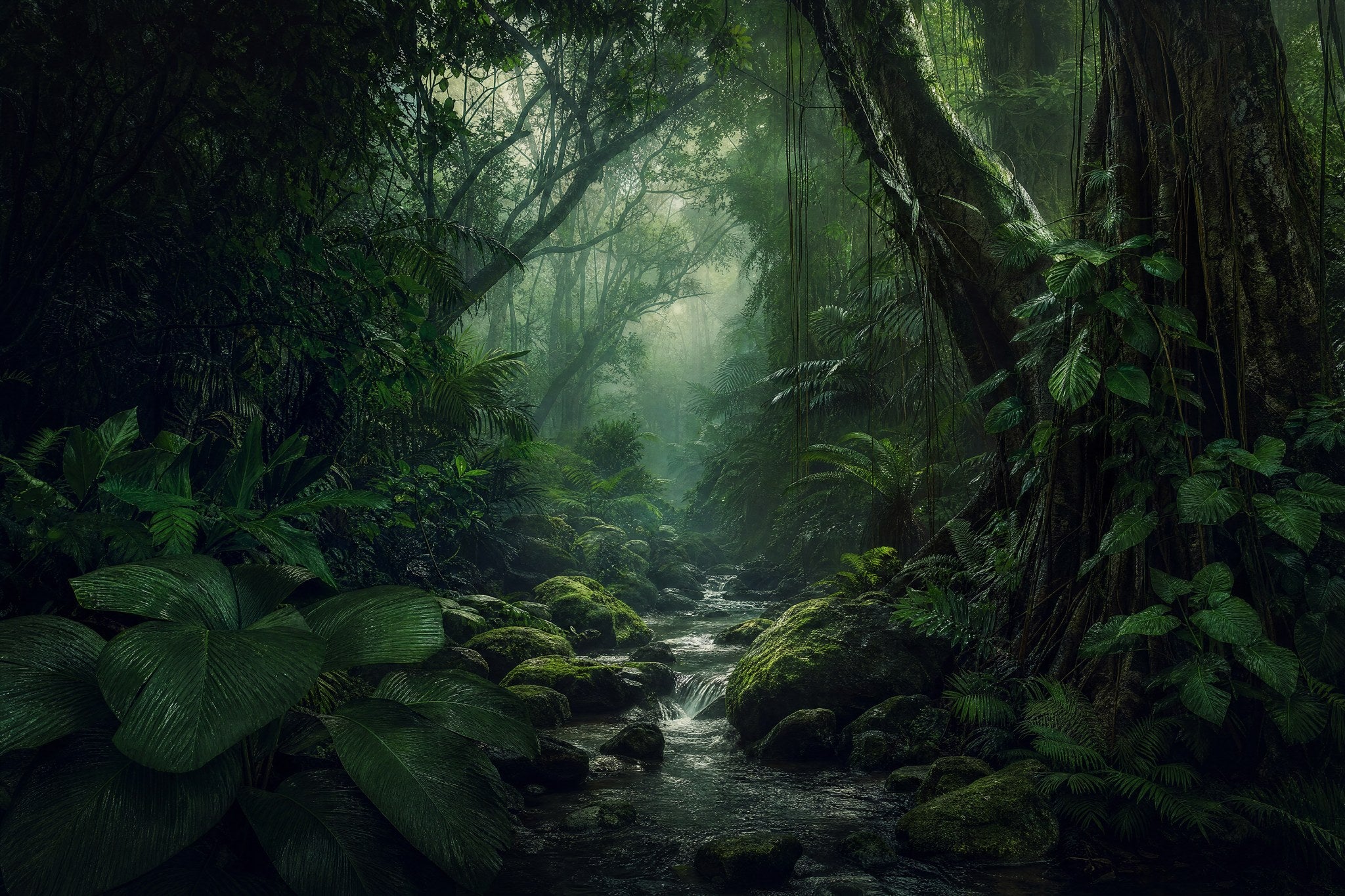 Night Jungle