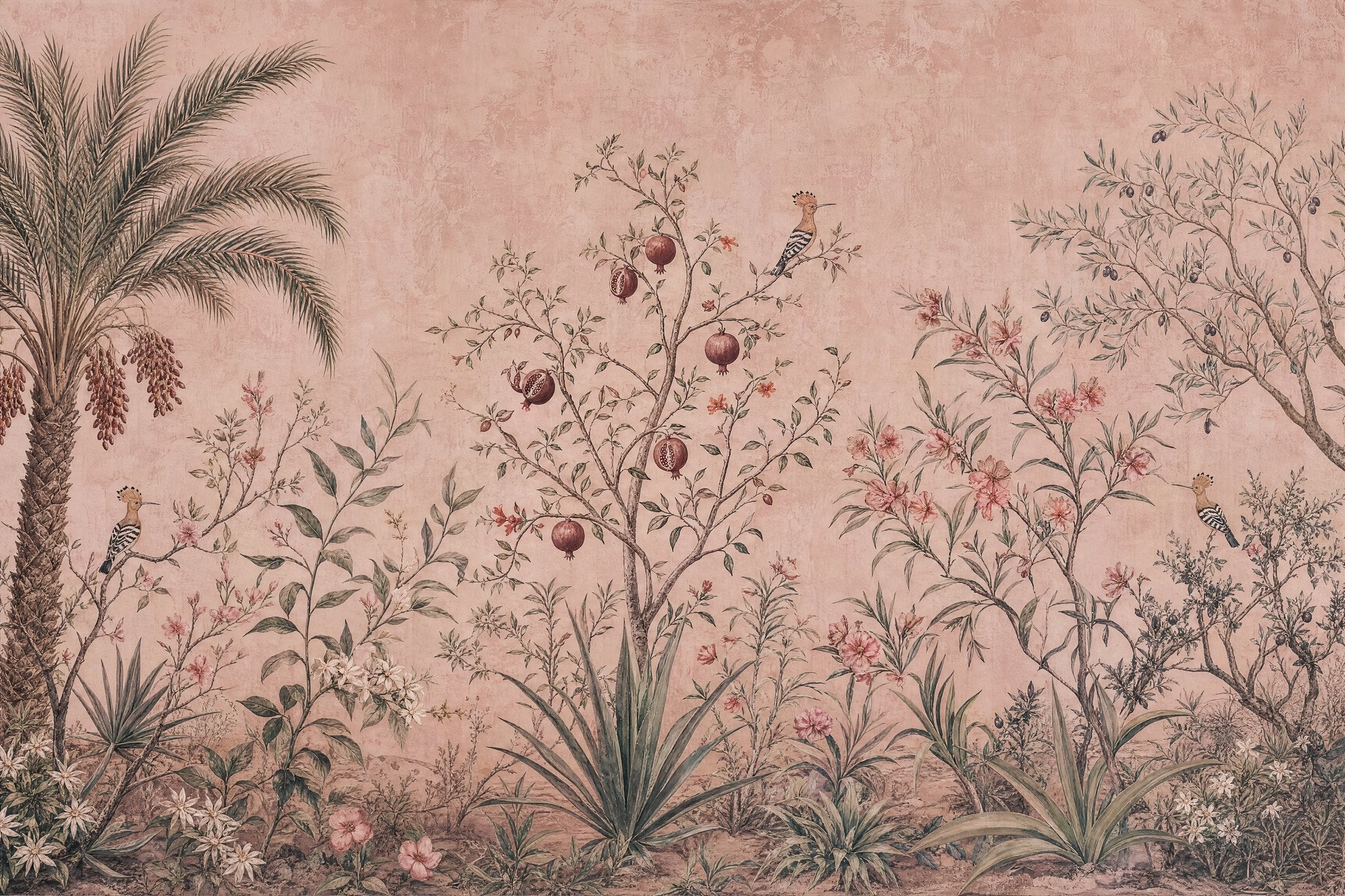 Oasis Rose
