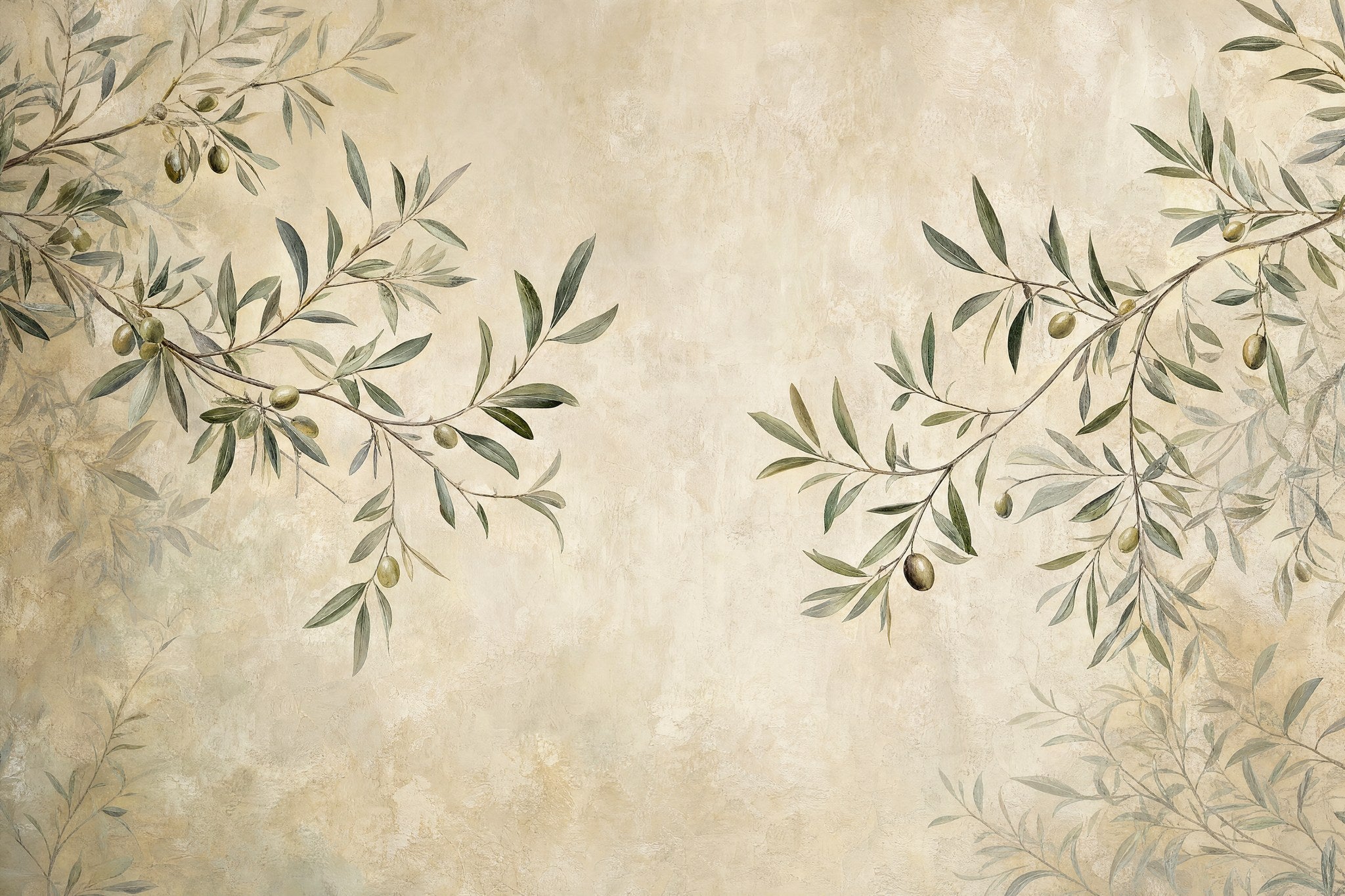 Olive Branch