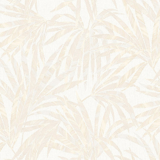 Palma Avorio wallpaper