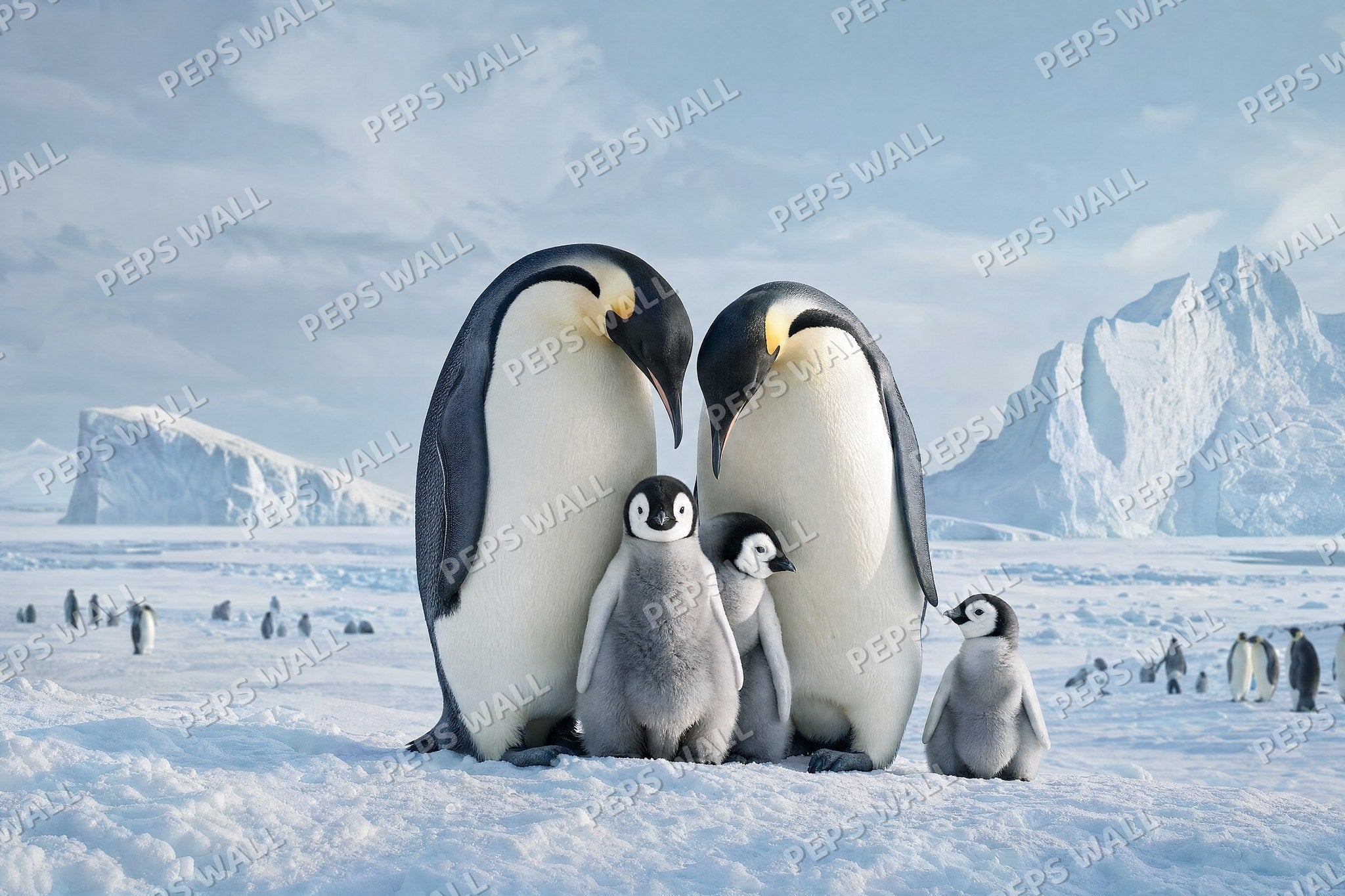 Penguin Huddle