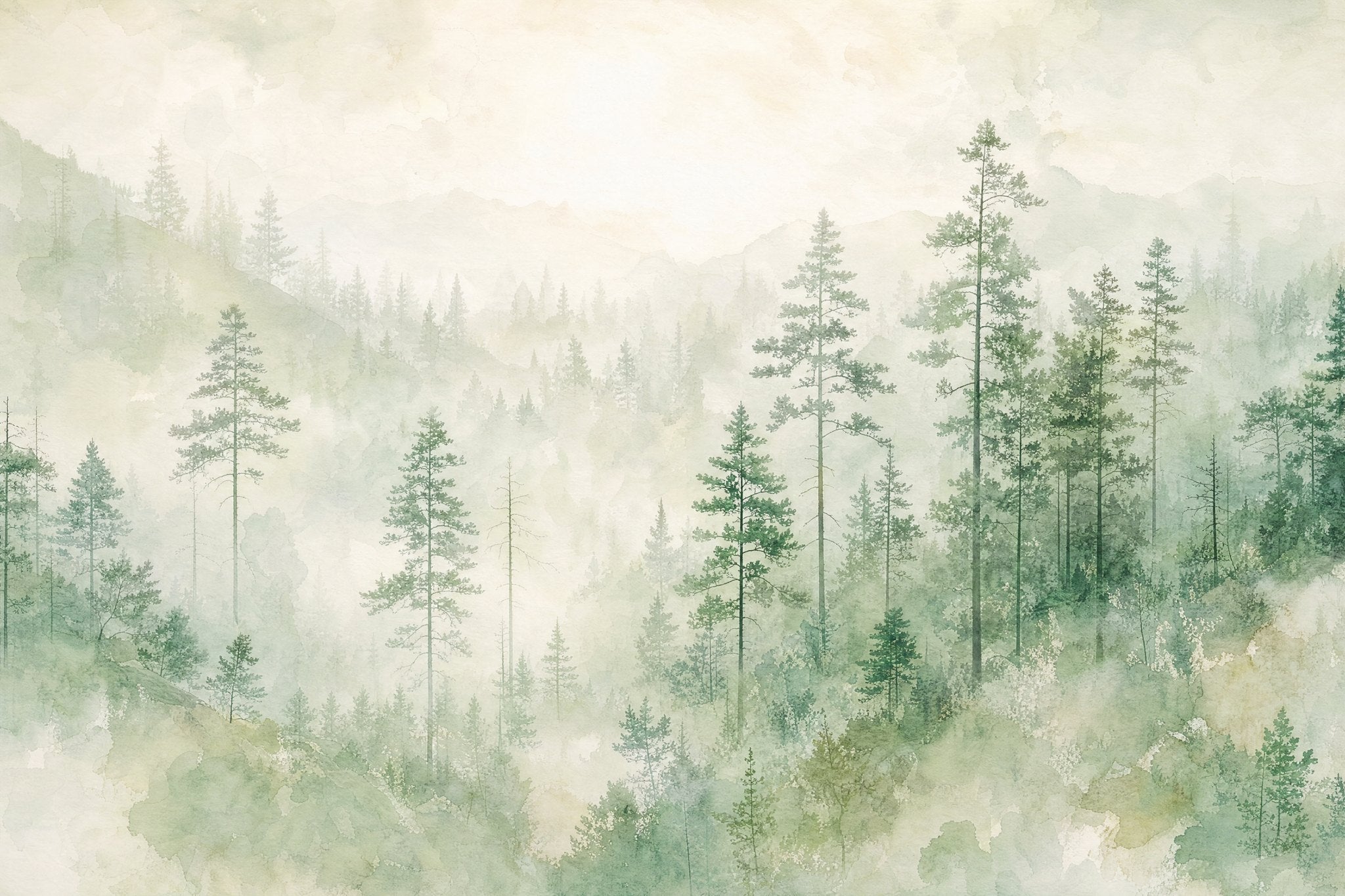 Pine Mist