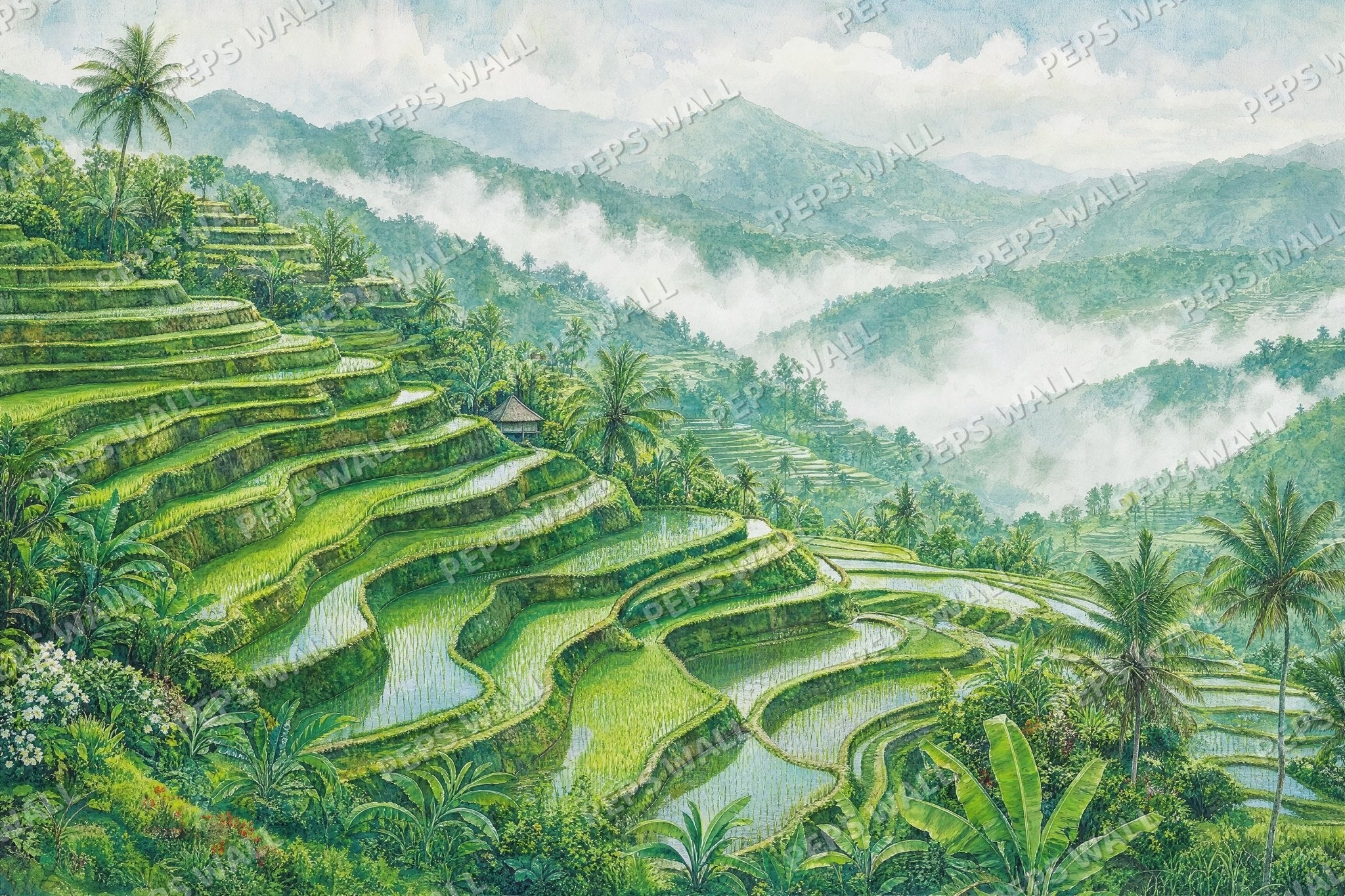 Rice Terraces