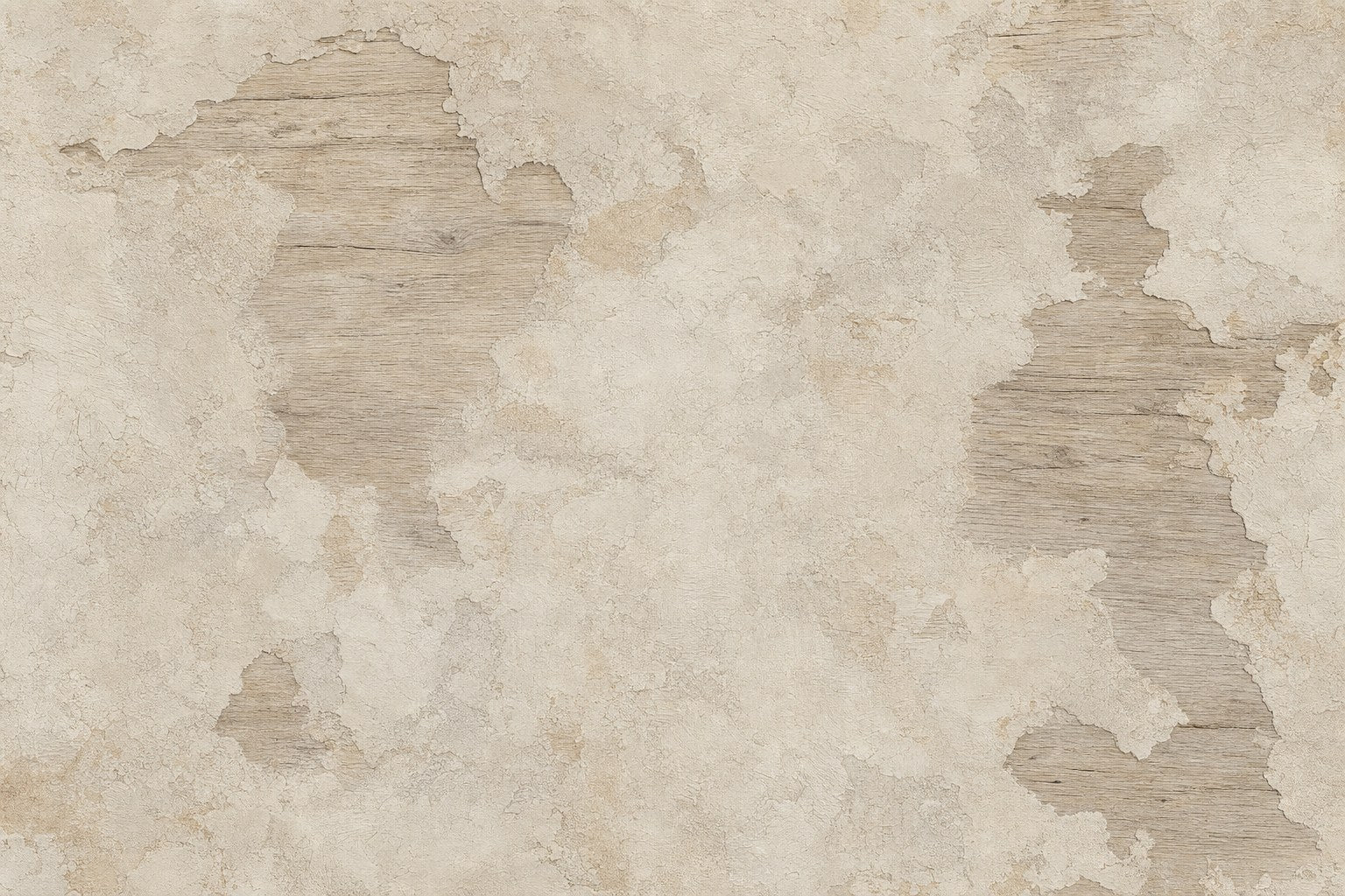 Rustic Wood and Plaster