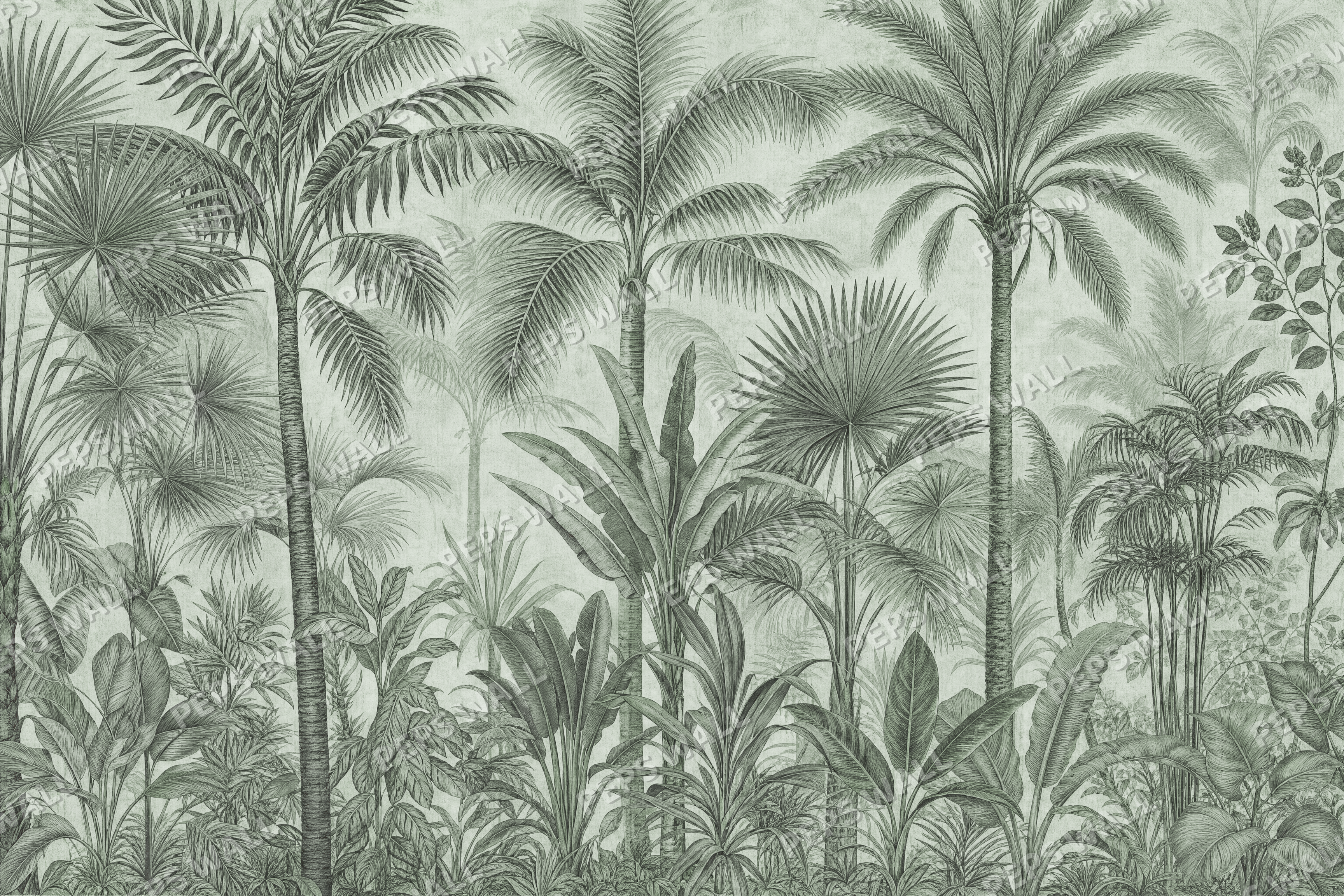 Vintage Palm Study in Sage - made-to-measure wall mural design by Peps Wall Dubai