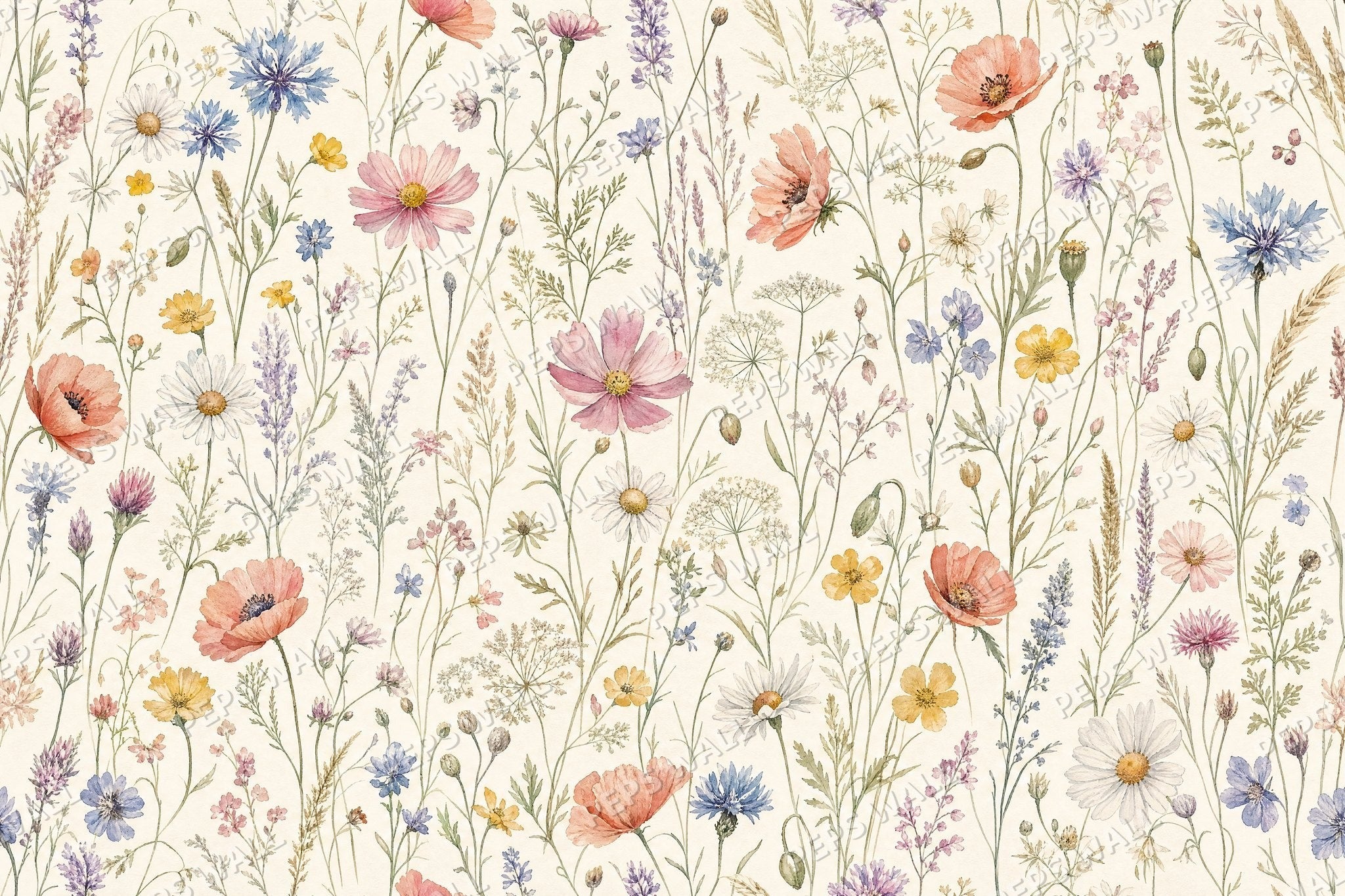 Wildflower Meadow