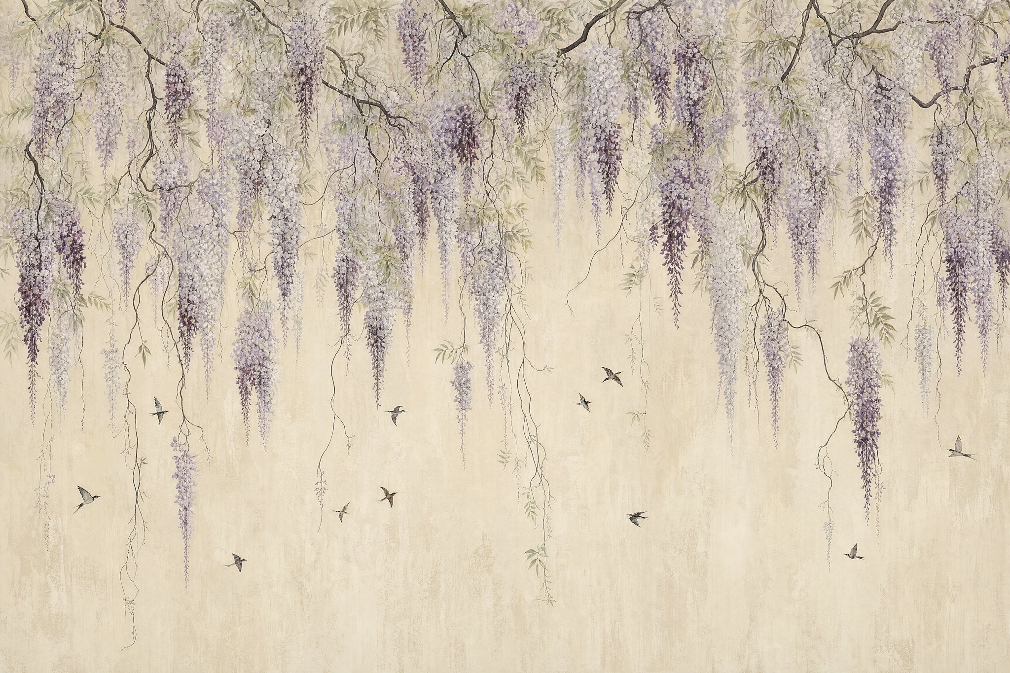 Wisteria Rain