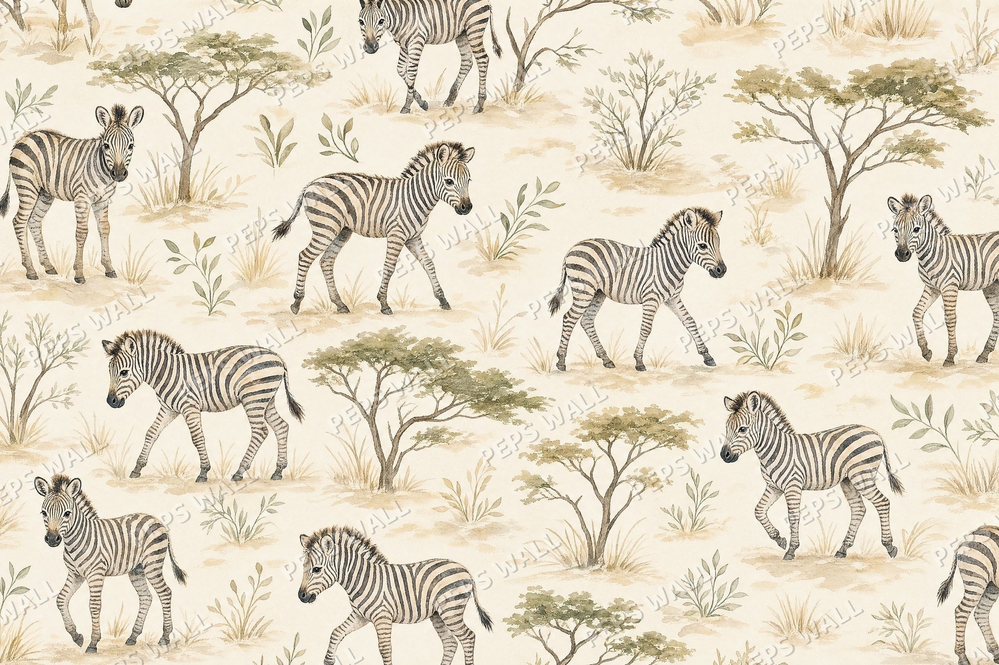 Zebra Safari
